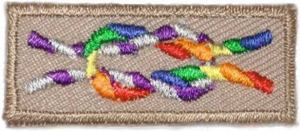 The Inclusive Scouting Badge.