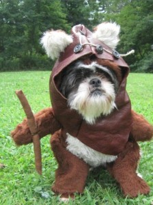 Please don't bring your dog to the Star Wars Costume Party at EMP!!!