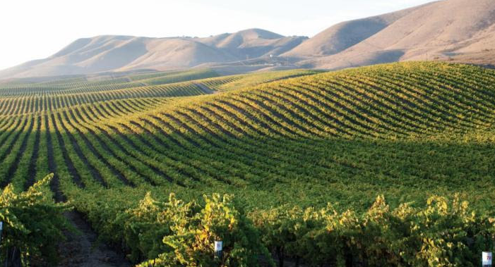 The beautiful Sonoma Valley in Northern California