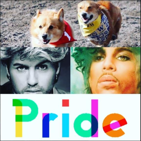 Emerald Downs Racetrack is celebrating Pride this Saturday with Corgi Racing happening on August 4th!!