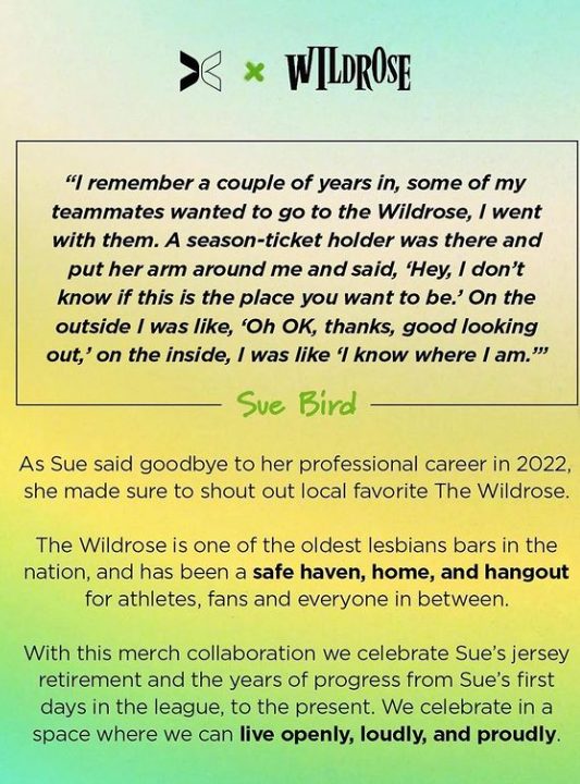 A look back at Sue Bird's jersey retirement ceremony - The Next