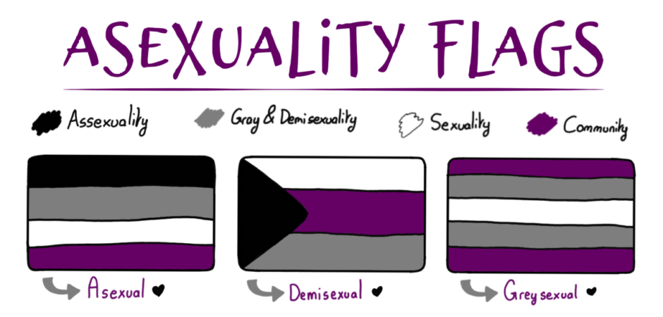 Answering Questions About Asexuality Seattle Gay Scene